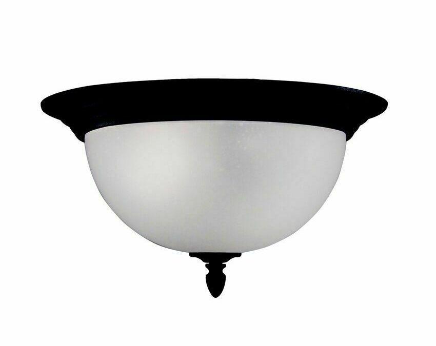Z-Lite Lighting 510F-BK Two Light Cash Aluminum Indoor/Outdoor Flush Ceiling Mount in Black Finish