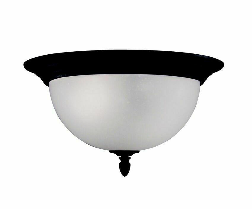 Z-Lite Lighting 510F-BK Two Light Cash Aluminum Indoor/Outdoor Flush Ceiling Mount in Black Finish